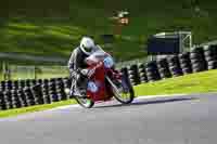 cadwell-no-limits-trackday;cadwell-park;cadwell-park-photographs;cadwell-trackday-photographs;enduro-digital-images;event-digital-images;eventdigitalimages;no-limits-trackdays;peter-wileman-photography;racing-digital-images;trackday-digital-images;trackday-photos